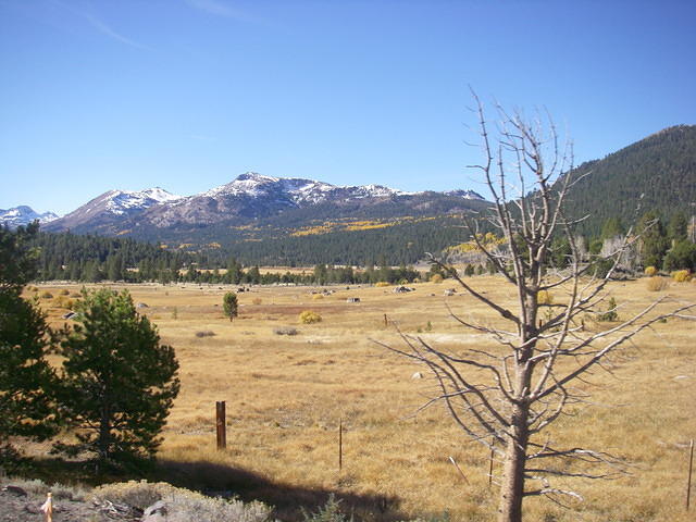 IMGP3913