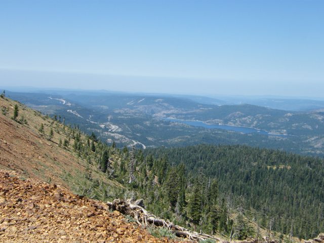 SPT View-1wl