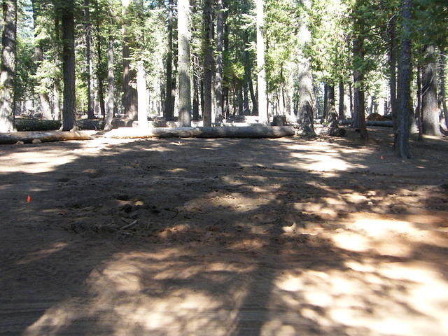 DSCF4753