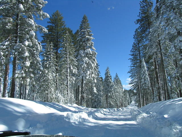 IMG 5370 34 1
