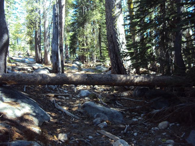 Barrett Lake 002