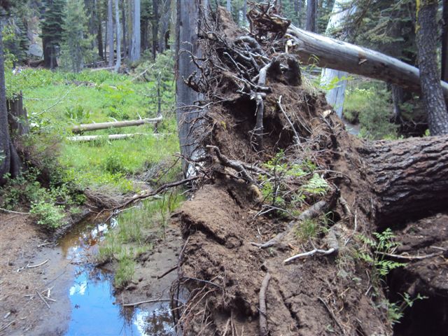 Barrett Lake 013