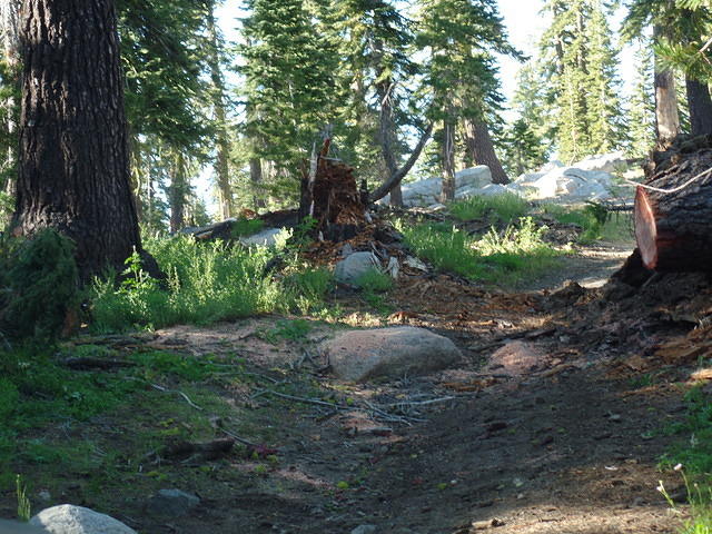 SAM 0786