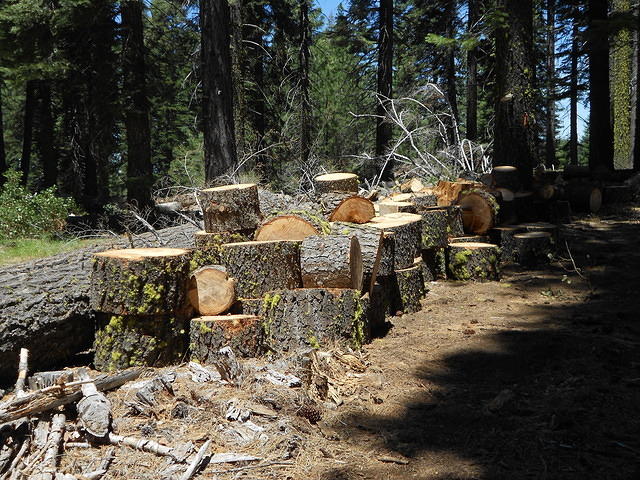 DSCN0545
