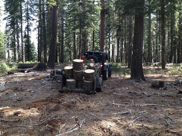 South Fork work May 2014 (28)