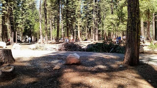 South Fork Campground Clean Up 2