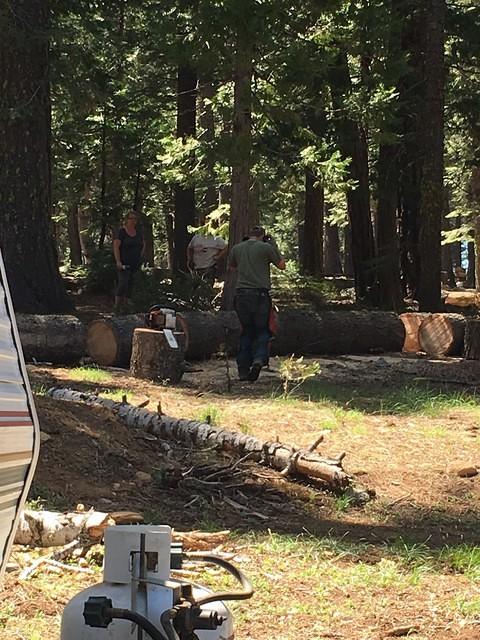 South Fork Campground Clean Up 23