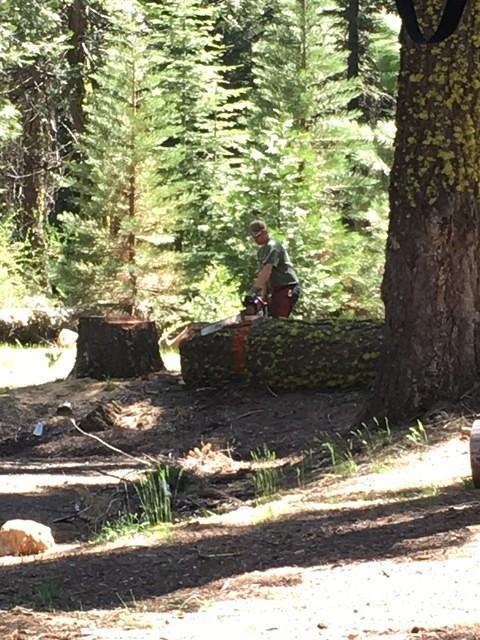 South Fork Campground Clean Up 25