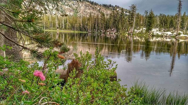 2017 Barrett Trail Maintenance 15