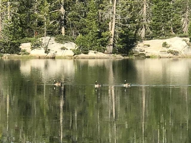 Spider Lake 30