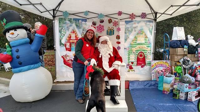 Toy Run 2017 i
