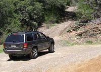 IMG 0475WL