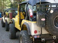 Rigs-1WL