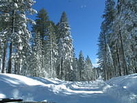 IMG 5370 34 1