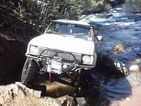 IMG 0110
