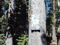 Barrett Lake 001