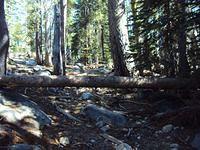 Barrett Lake 002