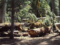 Barrett Lake 012