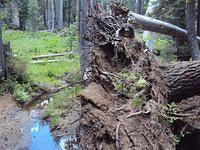 Barrett Lake 013