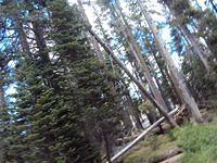 Barrett Lake 014