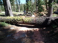 SAM 0599