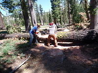 SAM 0603
