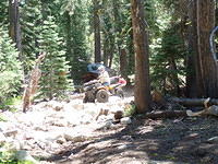 SAM 0612