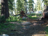 SAM 0786