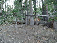SAM 0800