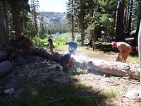SAM 0808