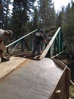 Bridge Project