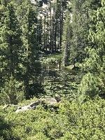 Spider Lake 38